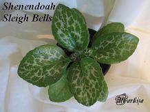  Shenendoah Sleigh Bells